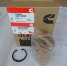 4024938 Cummins Parts Piston Kit